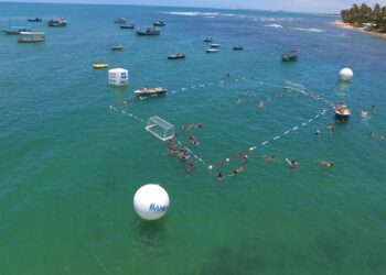 Polo aquático fora das piscinas