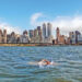 Travessia da Volta da Ilha de Manhattan completa 105 anos