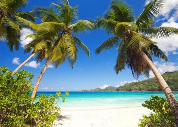 FINA confirma Seychelles como sede do Mundial Júnior de águas abertas