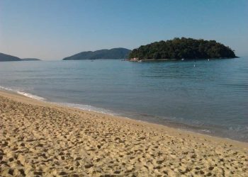 Os destaques do Circuito Maratona Aquática na Cocanha