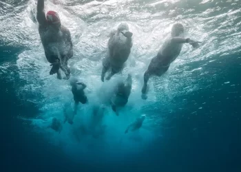 FINA divulga calendário do FINA Open Water Tour 2023