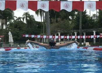 Os nadadores que fazem sucesso na TV