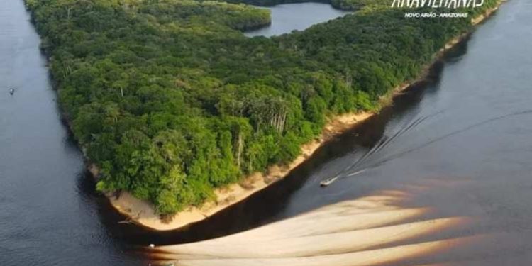 Rio Negro Experience será neste final de semana em Anavilhanas