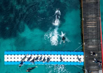 Itália sediará o Campeonato Mundial Júnior de Águas Abertas de 2024