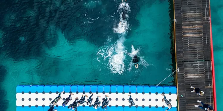 Itália sediará o Campeonato Mundial Júnior de Águas Abertas de 2024