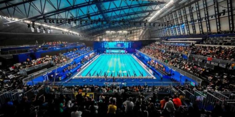 6 nadadores do Brasil ganharam prêmio em dinheiro no Mundial de Doha: 41 mil dólares