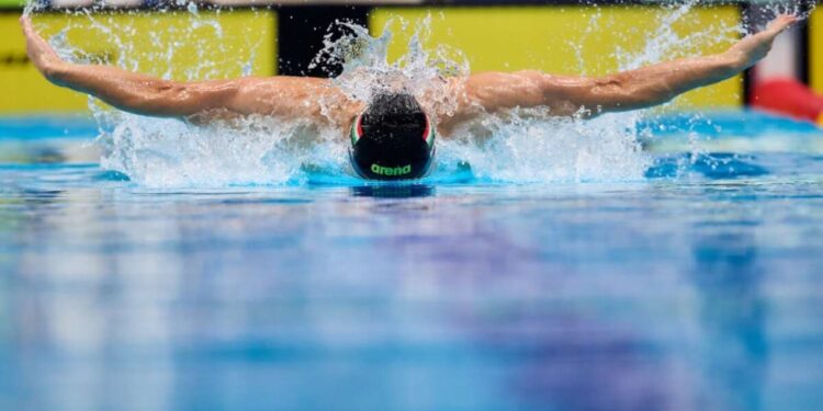 Kristof Milak ganha mais uma, quinta vitória na seletiva húngara
