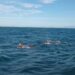 Atletas completam os 25 km entre Rio das Ostras e Búzios no Rio de Janeiro