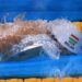 Kristof Milak vence a segunda no Europeu
