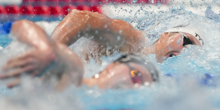 A diferente abordagem da CBDA nos critérios das seleções para o Sul-Americano e Mundial de Curta