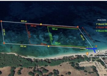 Como vai ser a nova prova de Knockout no Mundial Júnior de Águas Abertas