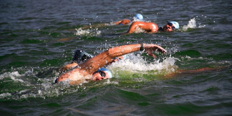 Vitória Farabulini e Eduardo Beck vencem os 10 km da SP Swim