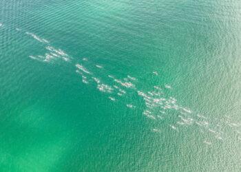 Resultados da última etapa do XTERRA Brasil em Búzios (RJ)