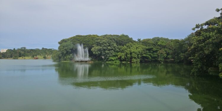 Lagoa do Taquaral em Campinas recebe primeiro treino de águas abertas