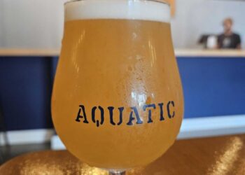 Editorial: a mudança de paradigma dos patrocínios da World Aquatics