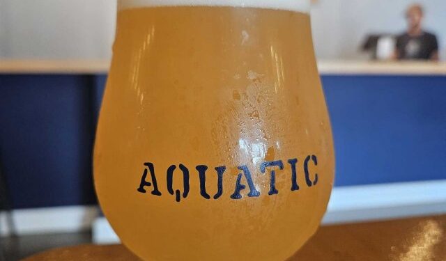 Editorial: a mudança de paradigma dos patrocínios da World Aquatics