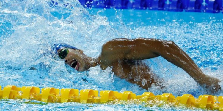 Classificação para a final do 4x100m livre masculino mais forte da história