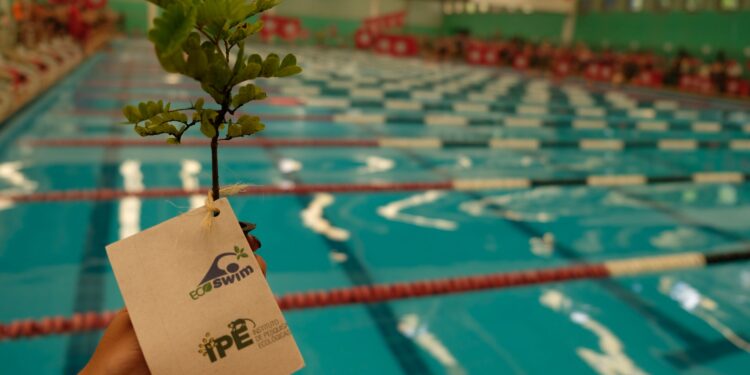 Piscina do Pacaembu (SP) recebe evento da EcoSwim em novembro