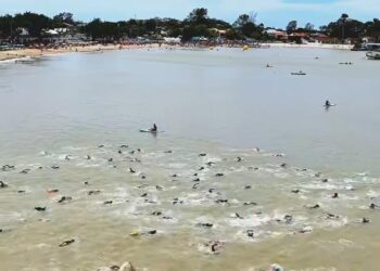 Circuito Desafio dos Mares reúne 800 nadadores em Rio das Ostras