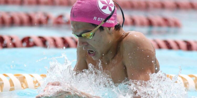 O maior dos maiores, brasileiro infantil de verão 2025 batendo todos os recordes