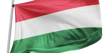 Hungria anuncia datas e locais do mundial dos esportes aquáticos e novidades sobre Kristof Milak