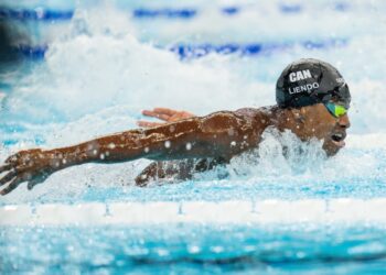 Anthony Nesty é o treinador do ano do NCAA, Hubert Kós e Joshua Liendo dividem prêmio de melhor nadador