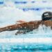 Anthony Nesty é o treinador do ano do NCAA, Hubert Kós e Joshua Liendo dividem prêmio de melhor nadador