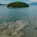 Desafio Mares Contra Relógio instiga atletas a vencerem o próprio tempo em Caraguatatuba