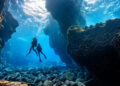 PADI Dive Festival começa nesta sexta-feira (28) e celebra 20 anos do maior evento de mergulho na América Latina