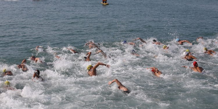 Exclusivo: Los planes de FINA para el circuito de 10 Km de Aguas Abiertas