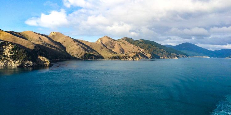 Nadador muere tras completar la travesía del Estrecho de Cook