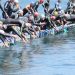 Brasil presente en la primera etapa de las FINA Marathon Swim World Series