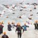 Ultramaratón de 20Km la destacada en el Swim Challenge Cascais 2023