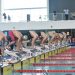 Campeonato Argentino Absoluto Open de Natación