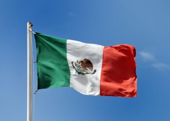 México puede/va a ganar una nueva Federación Acuática