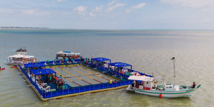 Las estrellas que estarán participando del Aquarace 2026