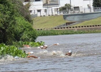 Primera fecha del Campeonato Argentino de aguas abiertas