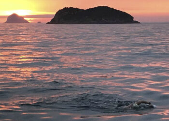 Por qué nadar de Leme a Pontal es uno de los mayores desafíos de Brasil y de América Latina