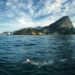 Leme to Pontal Swimming Association celebra 10 años de actividad